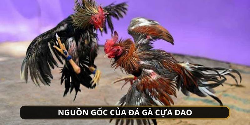 Sơ lược thông tin cơ bản của bộ môn nổi tiếng này