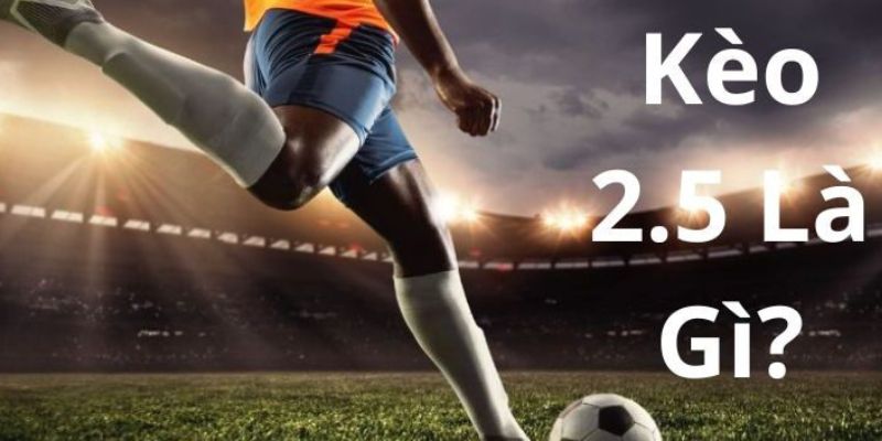 Đôi lời giải thích về kèo 2.5 là gì