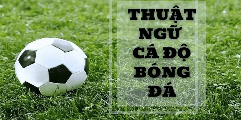 Những thuật ngữ cá độ bóng đá về kèo nhà cái BET88
