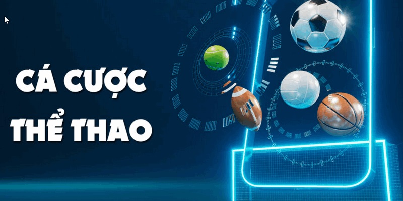 Giới thiệu khái quát sảnh thể thao BET88