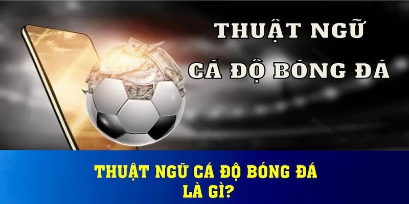 Thuật ngữ cá độ bóng đá